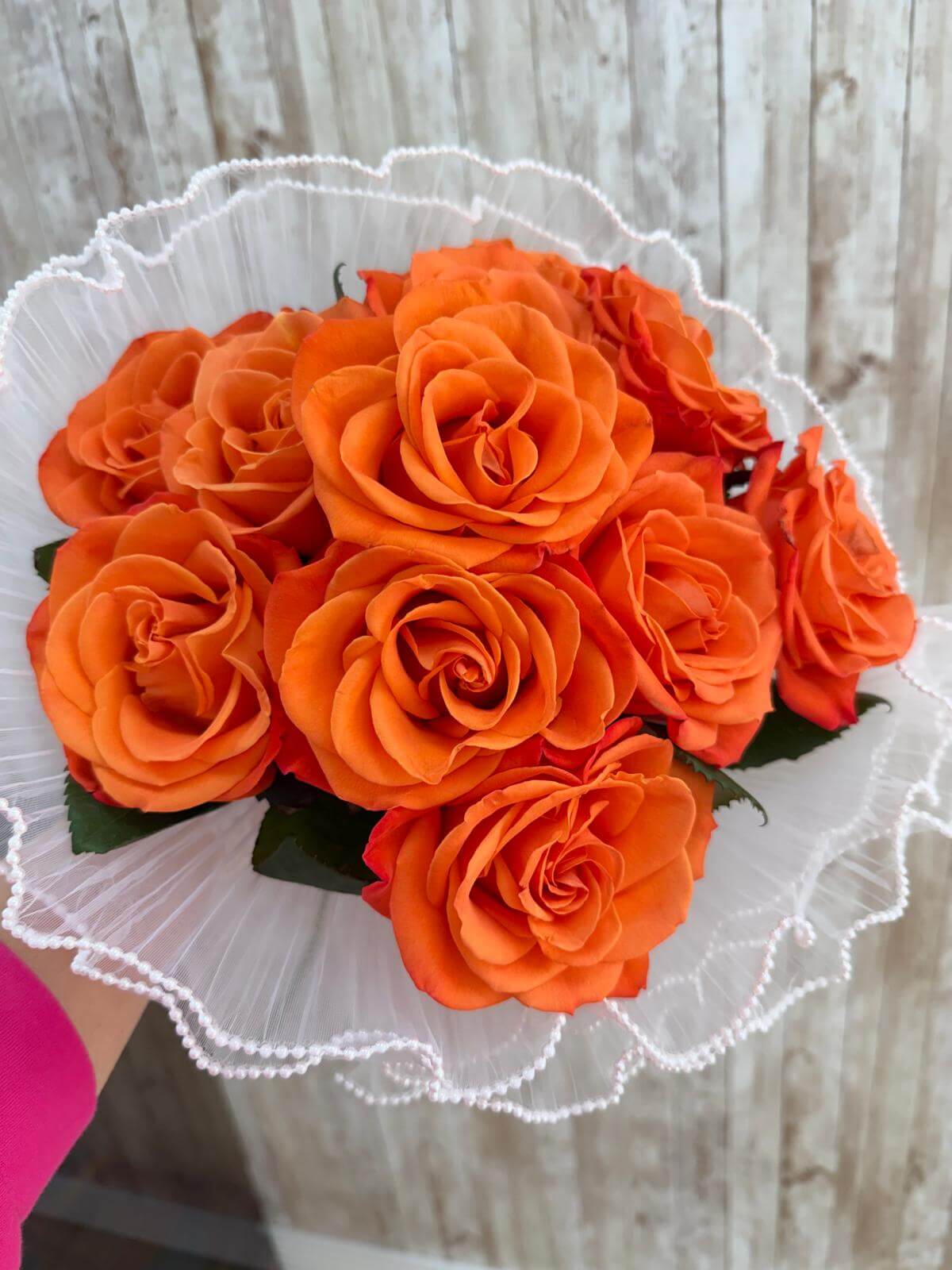 rosas naranj rosas naranj