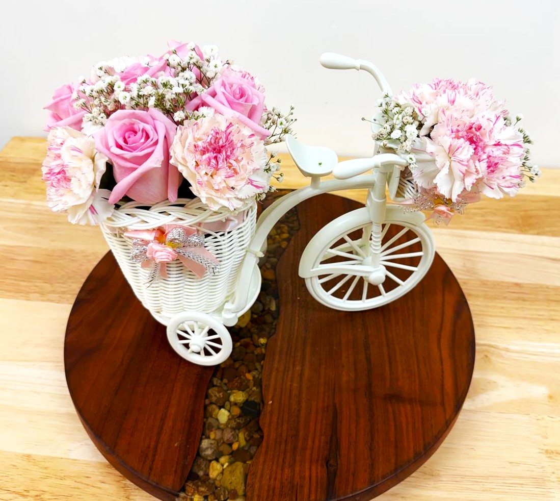 bicicleta 2 bicicleta 2